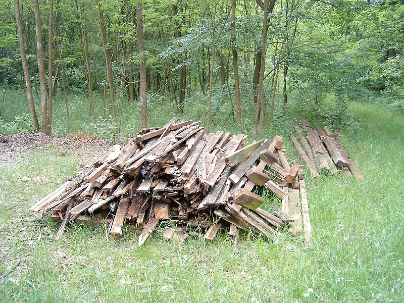 20100530 008.jpg